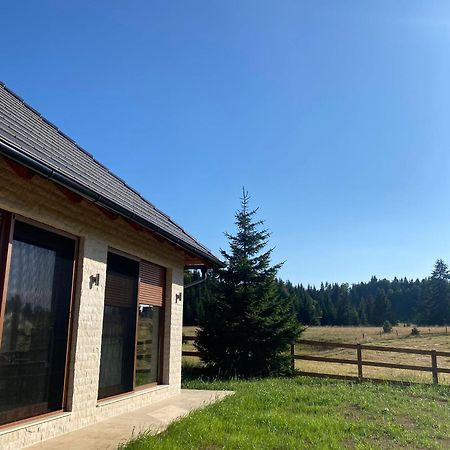 Vikendica Krlic Villa Mitrovac Eksteriør billede