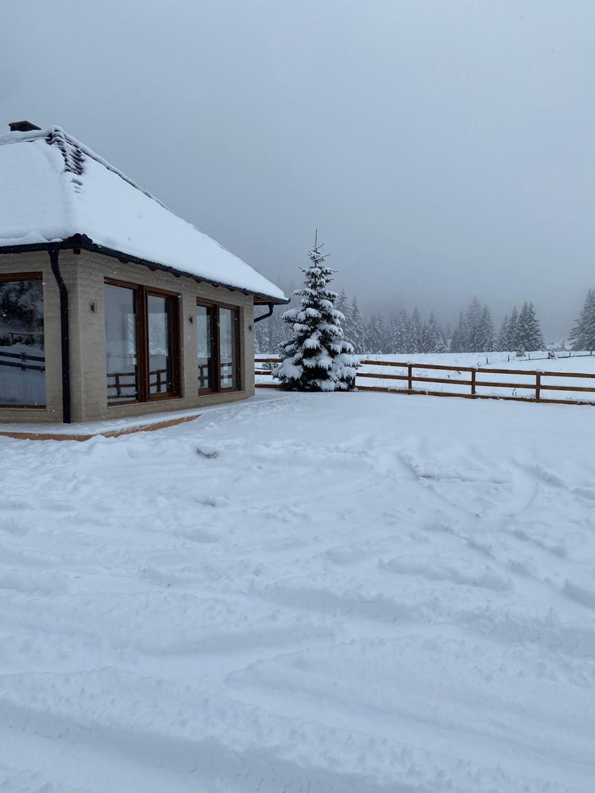 Vikendica Krlic Villa Mitrovac Eksteriør billede